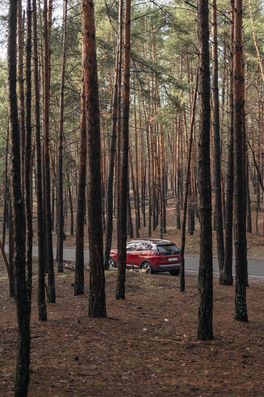 Goldcar.com: Alquiler de Coches para Vacaciones, Viajes de Negocios y Aventuras