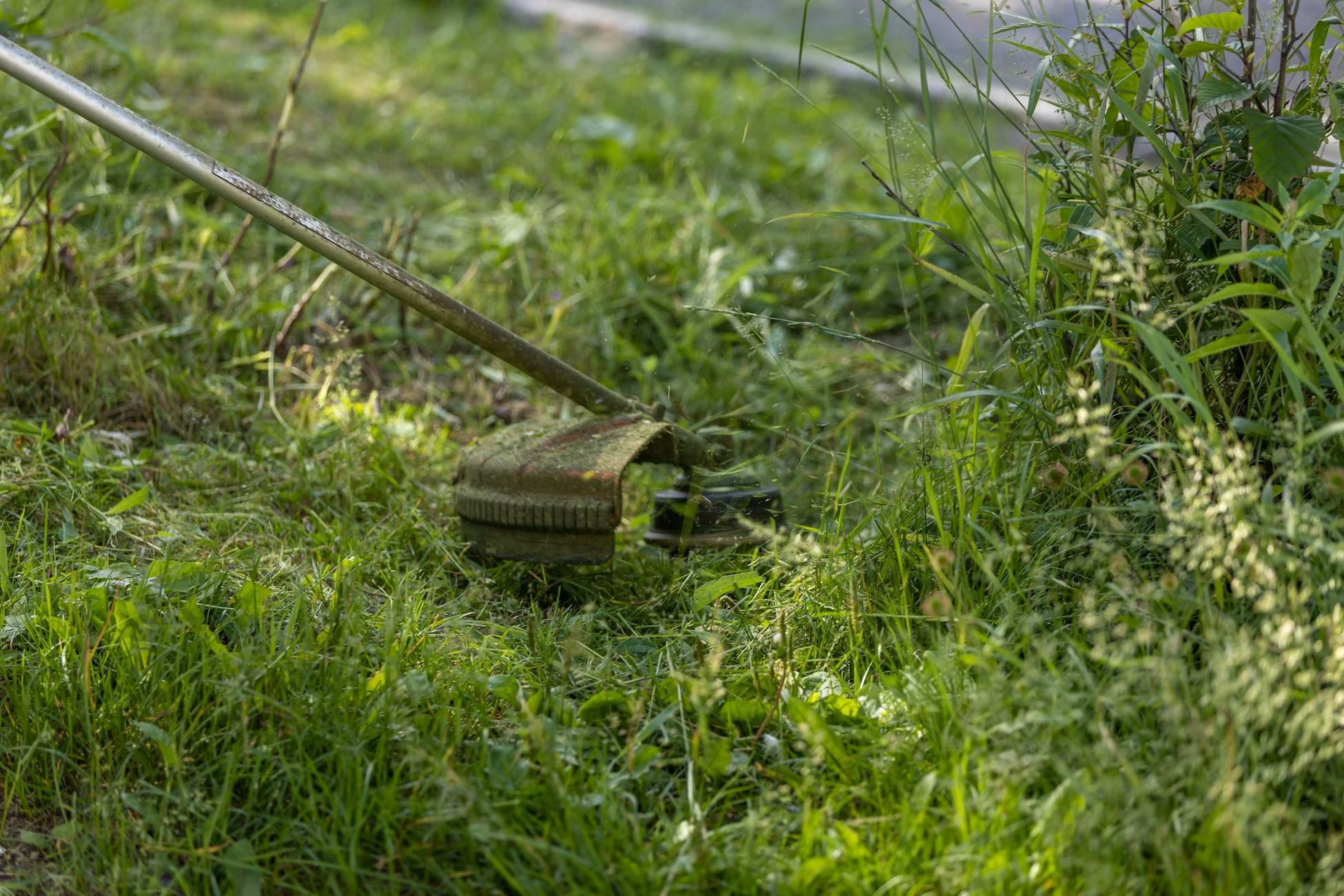 herramientas de jardín ecológicas, jardinería con batería, cortadoras de césped inalámbricas, equipos de jardín sostenibles, recortadoras de setos eléctricas, sopladores de hojas con batería, soluciones de jardinería ecológicas, herramientas de jardín silenciosas, equipos de jardín de emisión cero, herramientas de jardín recargables
