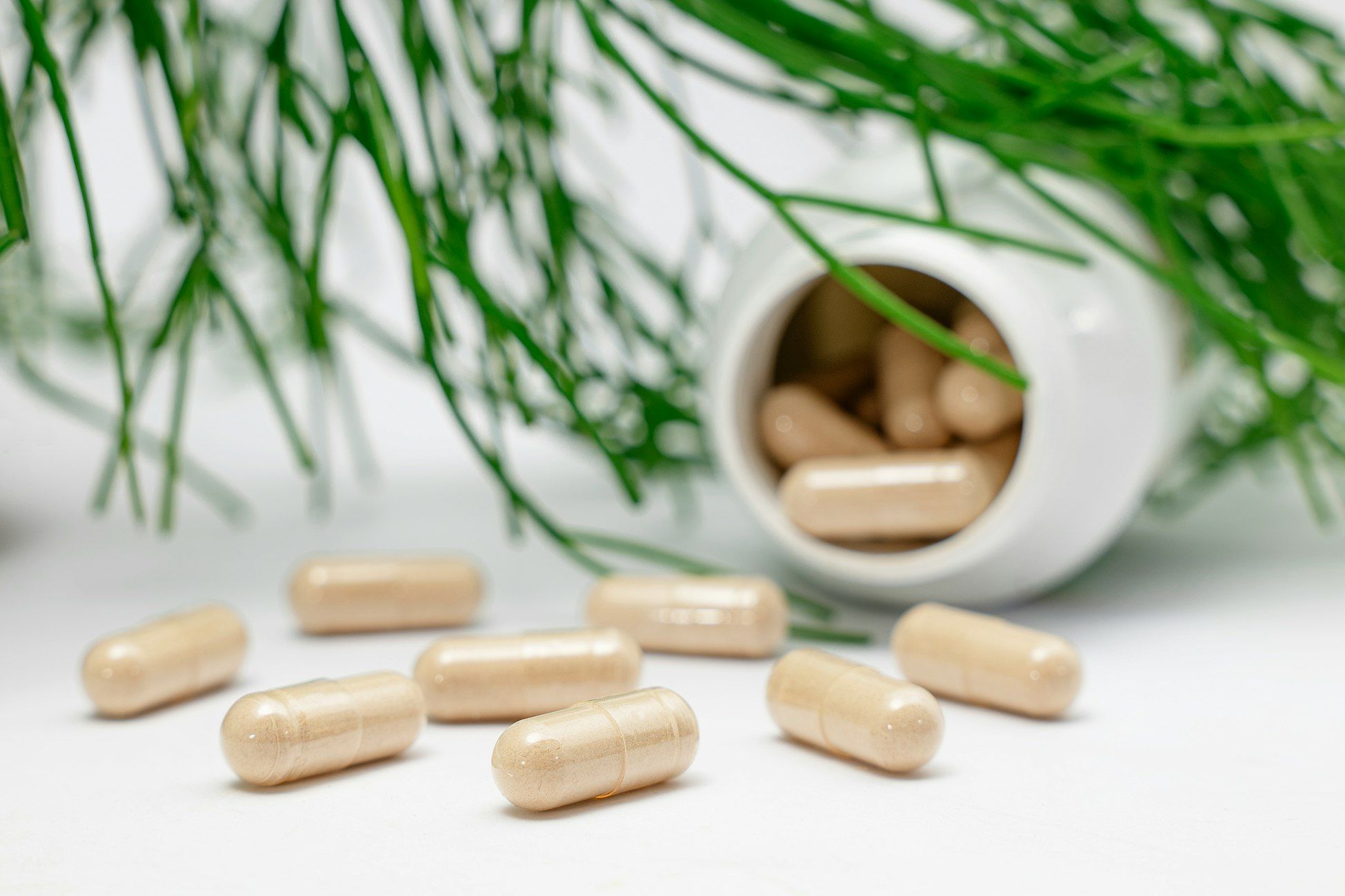 compléments alimentaires, routine quotidienne, santé, bien-être, système immunitaire, énergie, nutrition, mode de vie, régularité, auto-soin
