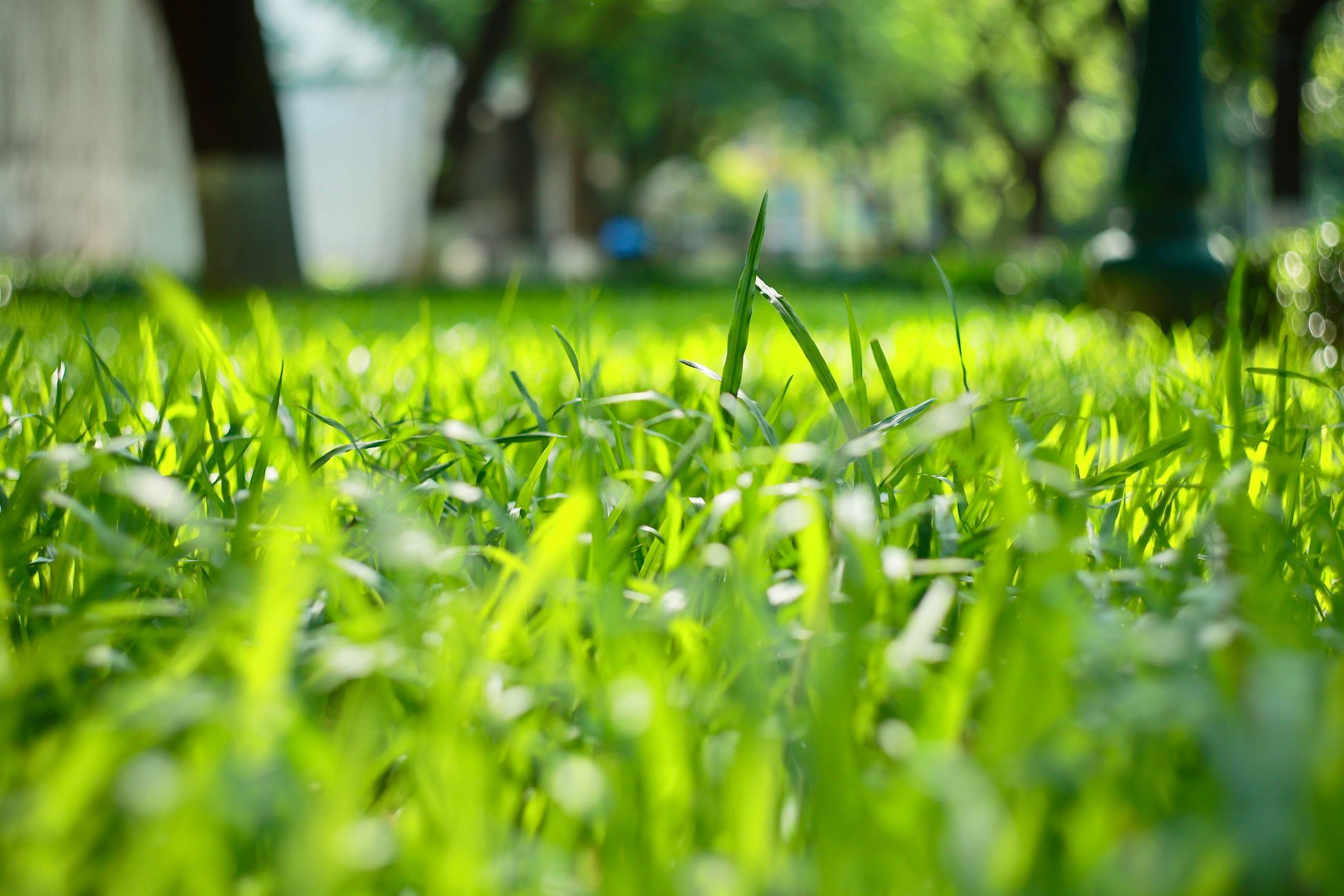 Navimow, corta-relvas robótico, cuidado inteligente do relvado, corte automático da relva, corta-relvas sem fios, corta-relvas GPS, corte autónomo, manutenção do relvado, tecnologia de jardins inteligentes, relvado perfeito